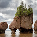 Flowerpot rocks of Hopewell, New Brunswick
